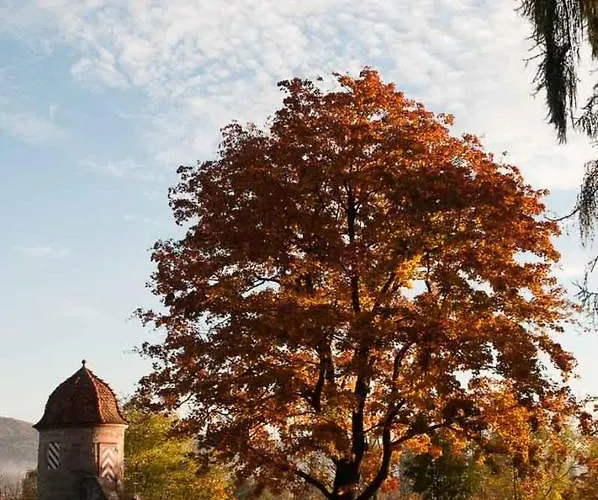 Zimmervermietung Vock Homestay szállás Eschwege